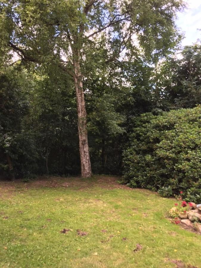 Appartamento Muehlenweg- Tante Lise Süderlügum Esterno foto