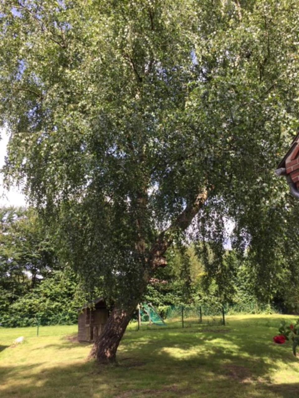 Appartamento Muehlenweg- Tante Lise Süderlügum Esterno foto